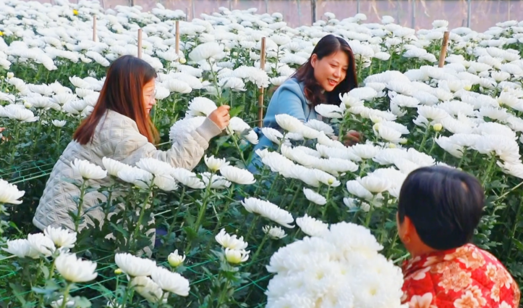 �F�ǅ^(q��)���ջ������M�ء���