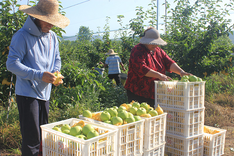 ��ó������Ѕ^(q��)ǰ�����@�����@������������