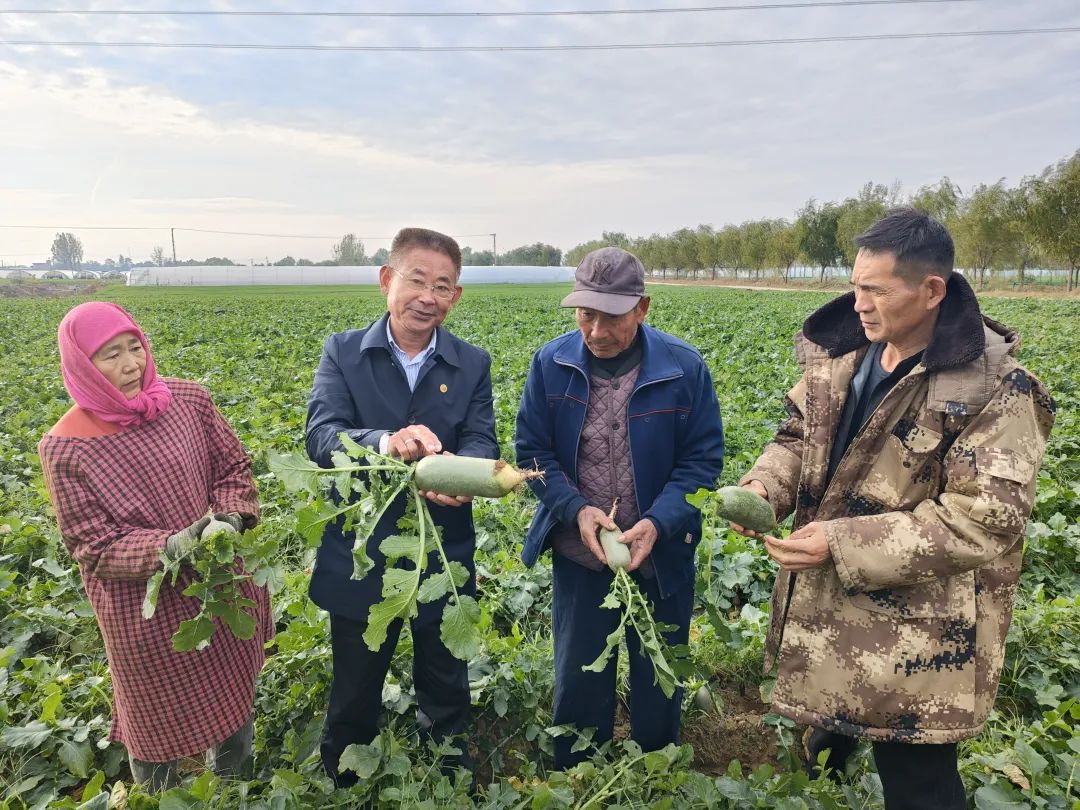 ������L�r�������f(xi��)ί�T��ֱ������ɳ�������}�����պ���ζ