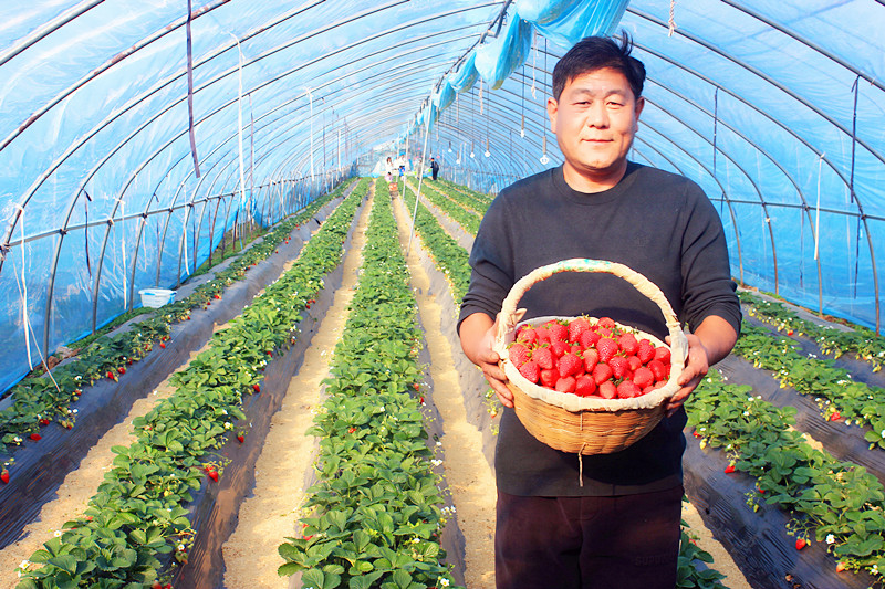 2025��ɽ�|��ݮ�a�I(y��)����A�M���_�����f���R�ϲ�ݮ�@��ժ�ý�