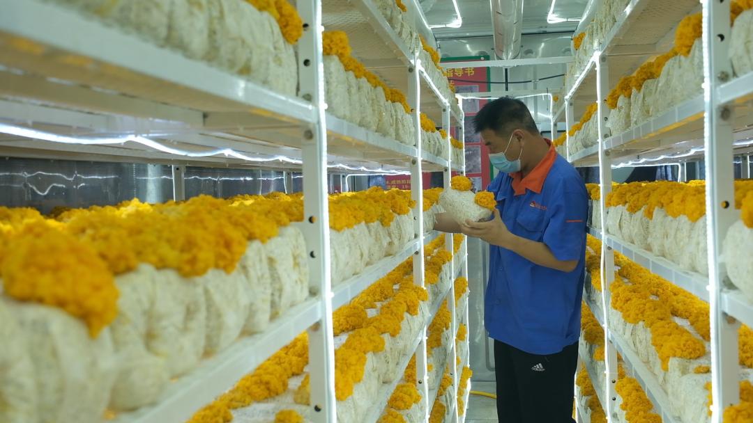 ɽ�|���f�����S�𡱮a�I(y��)朣��ġ������������Ƽ���(w��n)�a��