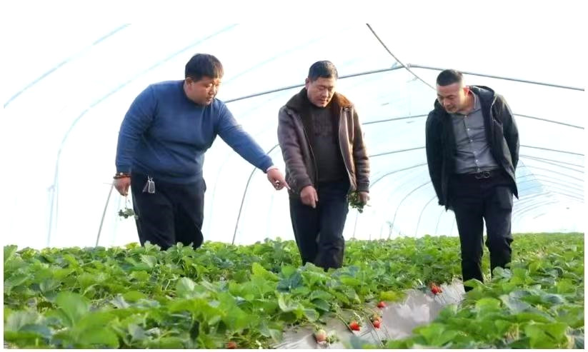 �R�Ⱥ󣺘s�@���r����������|���l(f��)չʮ��ܳ����^�ˡ��s�u�Q̖